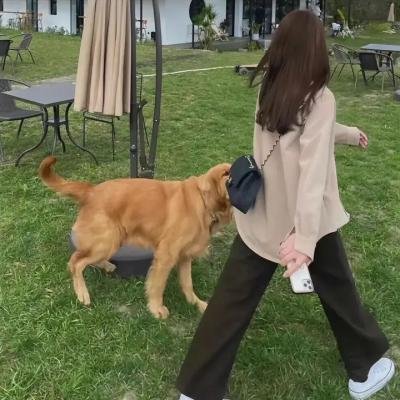 风云粤语